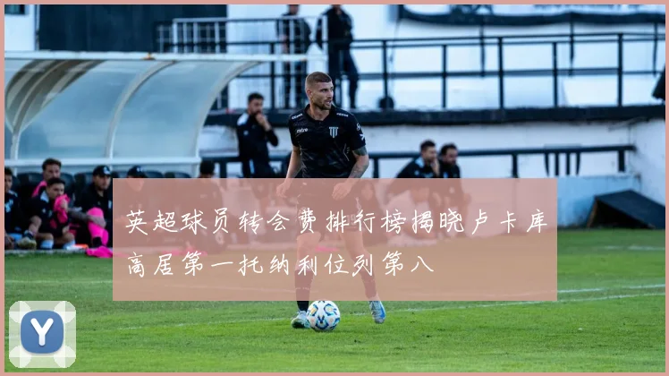 英超球员转会费排行榜揭晓卢卡库高居第一托纳利位列第八